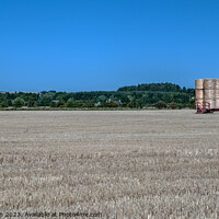 Buy canvas prints of Harvest's Bounty by Tom McPherson