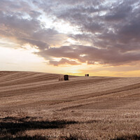 Buy canvas prints of Sundown Over Moray Harvest by Tom McPherson