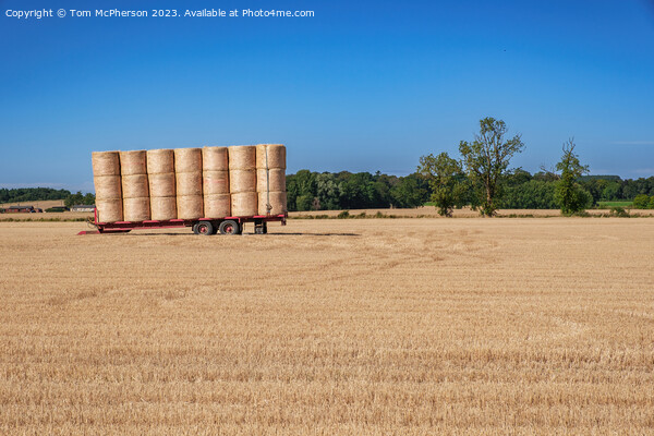 Harvest Shadows: Duffus Field's Hay Bales Picture Board by Tom McPherson