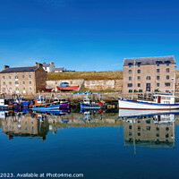 Buy canvas prints of 'Vibrant Bustle at Burghead Harbour' by Tom McPherson
