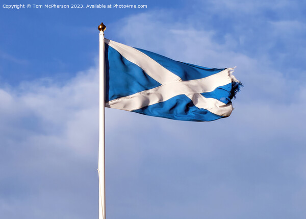 The Saltire of Scotland Picture Board by Tom McPherson