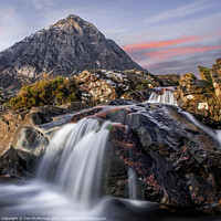 Buy canvas prints of The Buachaille by Tom McPherson