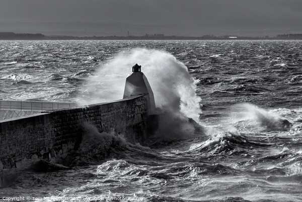 Burghead Pier Storm Picture Board by Tom McPherson