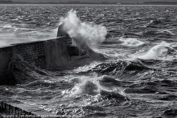 Sea Storm at Burghead Pier Picture Board by Tom McPherson