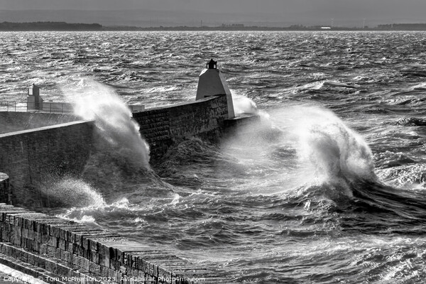 Rough Seas at Burghead Picture Board by Tom McPherson