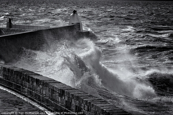 Sea Storm at Burghead Picture Board by Tom McPherson