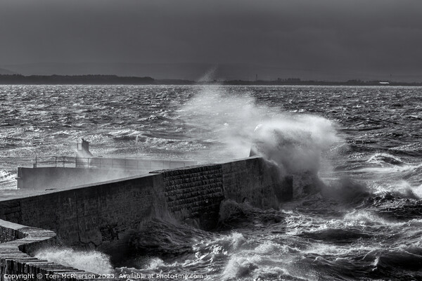 Burghead Pier in Storm Picture Board by Tom McPherson