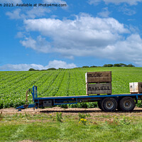 Buy canvas prints of Trailer in Field by Tom McPherson