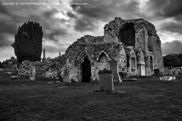 Kinloss Abbey  Picture Board by Tom McPherson