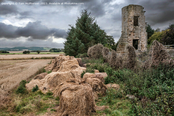 Kinloss Abbey Tower Picture Board by Tom McPherson