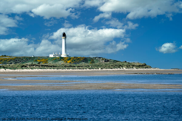 Lossiemouth West Beach Lighthouse Picture Board by Tom McPherson