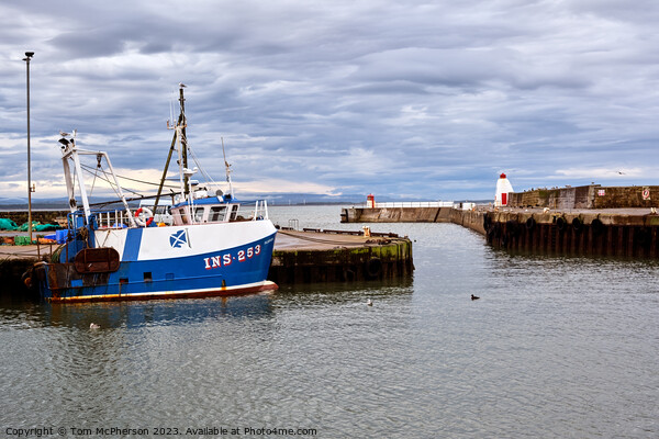Burghead Harbour Picture Board by Tom McPherson