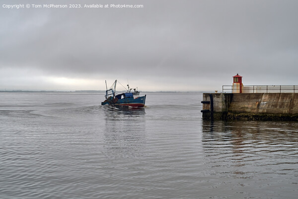 Leaving Burghead harbour Picture Board by Tom McPherson