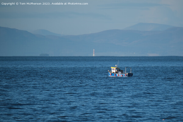 Lone Fishing Boat on the Moray Firth Picture Board by Tom McPherson