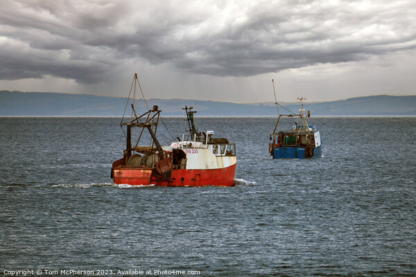 Moray Firth Fishing boats Picture Board by Tom McPherson