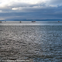 Buy canvas prints of Moray Firth Fishing Fleet by Tom McPherson