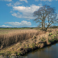 Buy canvas prints of Down by the River by Tom McPherson