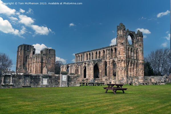 Elgin Cathedral Picture Board by Tom McPherson