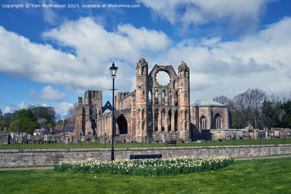 Historic Elgin Cathedral Picture Board by Tom McPherson
