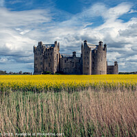 Buy canvas prints of Medieval Castle by Tom McPherson