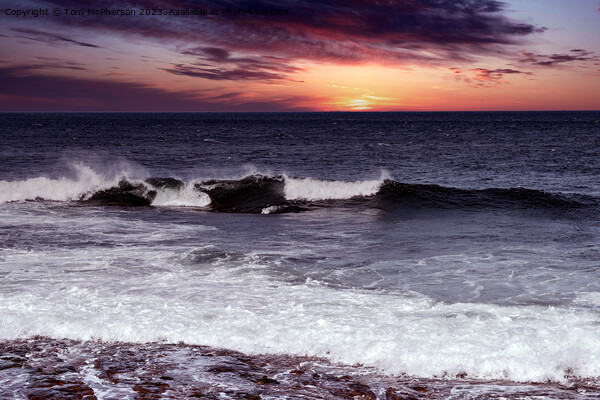Sunset Across The Moray Firth Picture Board by Tom McPherson