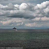 Buy canvas prints of Serene Seascape on Moray Firth by Tom McPherson
