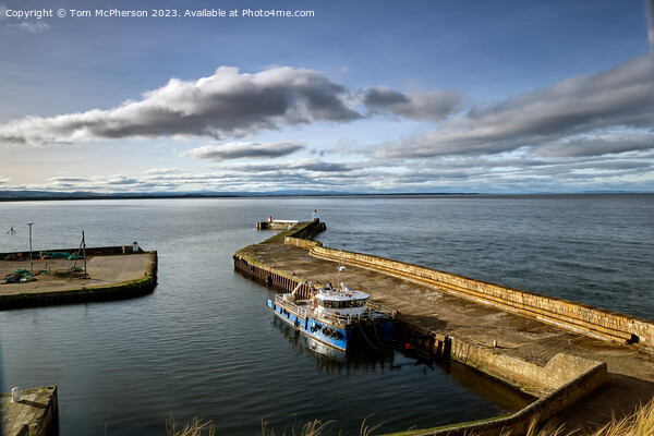 Burghead Harbour  Picture Board by Tom McPherson