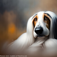 Buy canvas prints of Afghan Hound by Tom McPherson