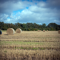 Buy canvas prints of Outdoor fieldHay Bales by Tom McPherson