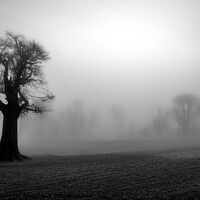 Buy canvas prints of Eerie Tree by Tom McPherson