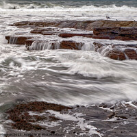 Buy canvas prints of On the Rocks  by Tom McPherson