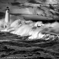 Buy canvas prints of The Storm by Tom McPherson