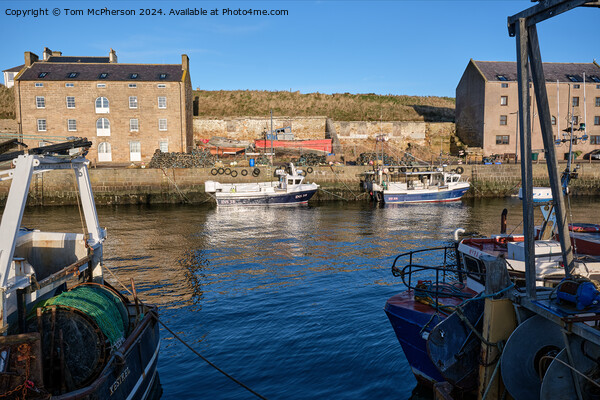 Burghead Harbour Scene Picture Board by Tom McPherson