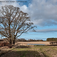 Buy canvas prints of Laich of Moray Landscape by Tom McPherson