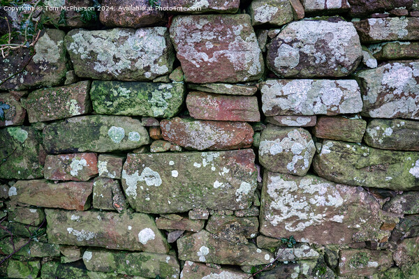 Dry Stone Wall Picture Board by Tom McPherson
