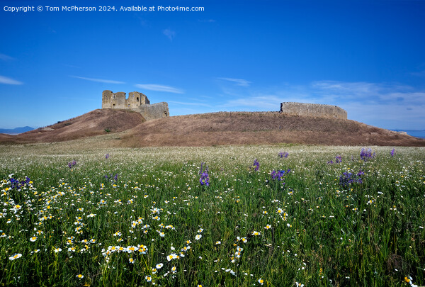 Duffus Castle and Laich of Moray Picture Board by Tom McPherson