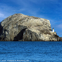 Buy canvas prints of Bass Rock by Tom McPherson