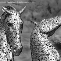 Buy canvas prints of The Kelpies by Tom McPherson
