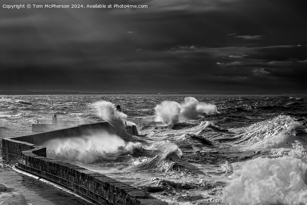 Sea Storm at Burghead Picture Board by Tom McPherson