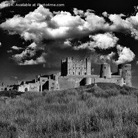 Buy canvas prints of Bamburgh Castle by Tom McPherson