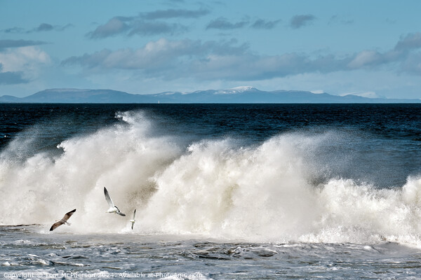 Impressive Waves at Burghead Picture Board by Tom McPherson