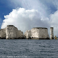 Buy canvas prints of Old Harry Rocks by Tom McPherson