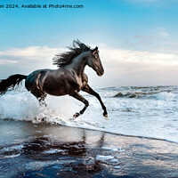 Buy canvas prints of The Stallion by Tom McPherson