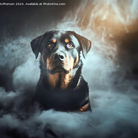 Buy canvas prints of The Rottweiler  by Tom McPherson