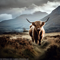 Buy canvas prints of Highland Cow by Tom McPherson