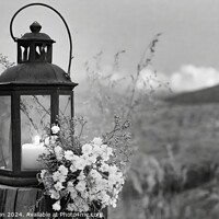 Buy canvas prints of Lantern with Flowers by Tom McPherson
