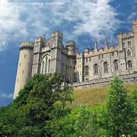 Buy canvas prints of Arundel Castle by Tom McPherson