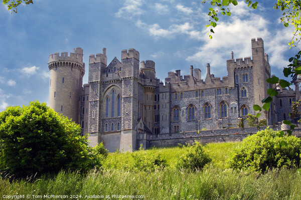 Arundel Castle Picture Board by Tom McPherson
