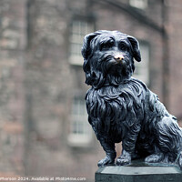 Buy canvas prints of Greyfriars Bobby  by Tom McPherson