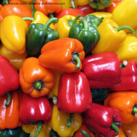 Buy canvas prints of Mixed Peppers by Tom McPherson